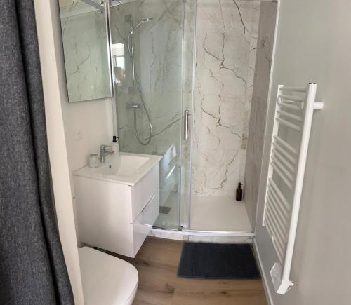 a bathroom with a shower and a sink and a toilet at Studio calme avec terrasse proche centre-ville in Niort