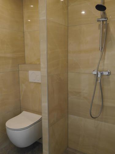 a bathroom with a toilet and a shower at Château Marnand - Studio Montgolfière in Granges-près-Marnand