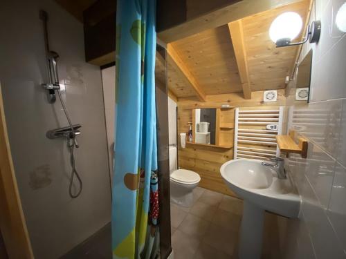 une salle de bain avec une douche, un lavabo et des toilettes dans l'établissement Duplex cosy 4 pers à Crest-Voland, proche pistes, parking, wifi - FR-1-733-74, à Crest-Voland