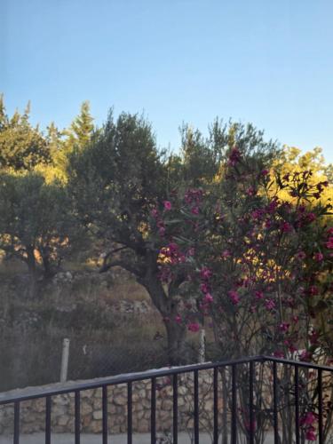 Gallery image of Olive Breeze Drymades in Dhërmi
