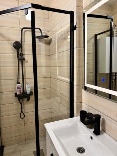 a bathroom with a sink and a mirror at Apartment in Kosovo Polje