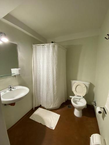 a bathroom with a toilet and a sink at El Andaluz in San Martín de los Andes