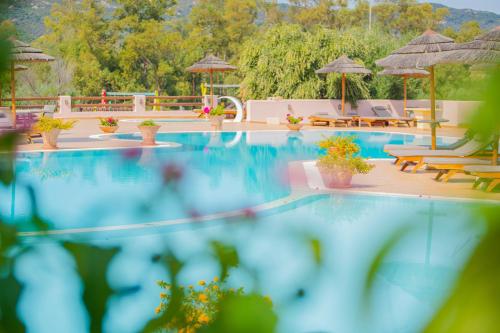 Πισίνα στο ή κοντά στο Felix Hotels - Hotel Airone