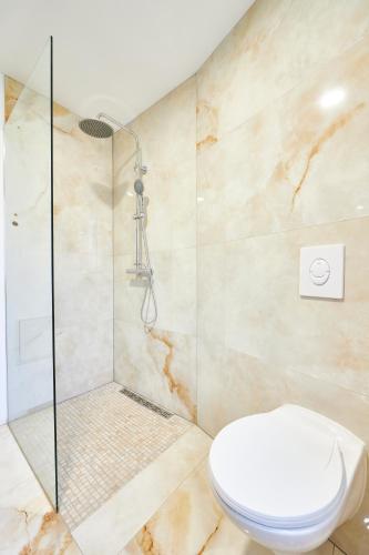 a bathroom with a toilet and a shower at TH 103 Appartement F2 à Thann 1 à 3 personnes in Thann