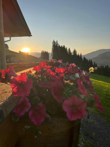 Ferienwohnungen Krapfenalm