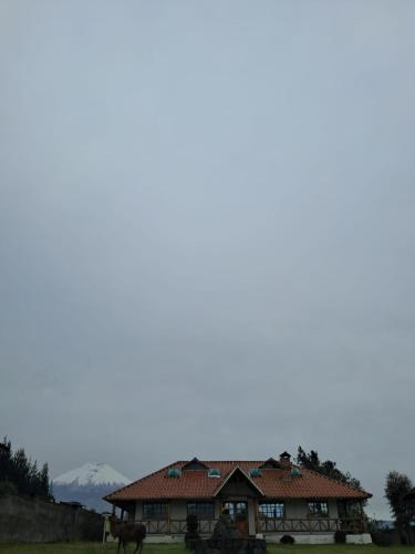 ホテルの近くで見られる自然の景観