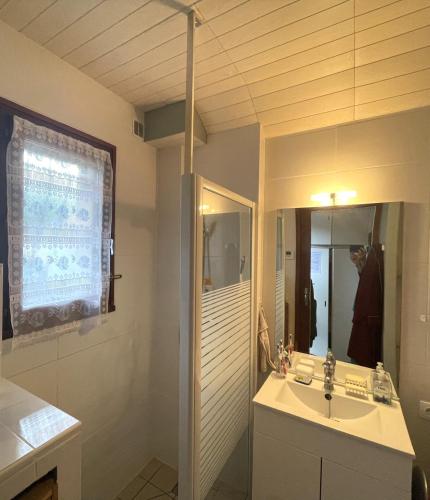 une salle de bain avec un lavabo et un miroir dans l'établissement La belle onde, à Mimizan-Plage