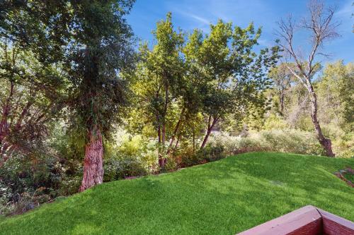 a lush green yard with trees and grass at Mountain Retreat in Basalt