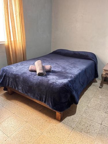 a bed with blue sheets and two towels on it at Trotamundo Oaxaca Hostel in Oaxaca City