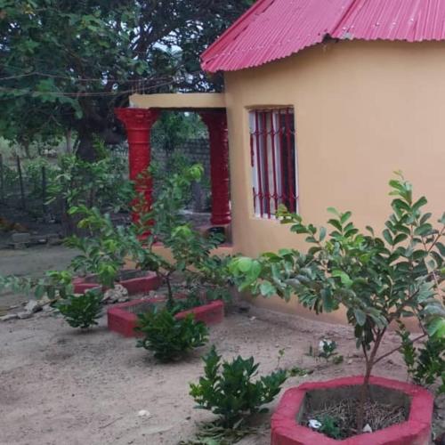 Taman di luar Sunshine Guesthouse Bafuloto
