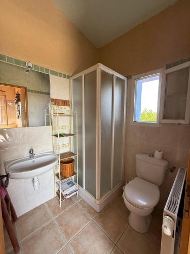a bathroom with a toilet and a sink at Les Coquettes in Richerenches