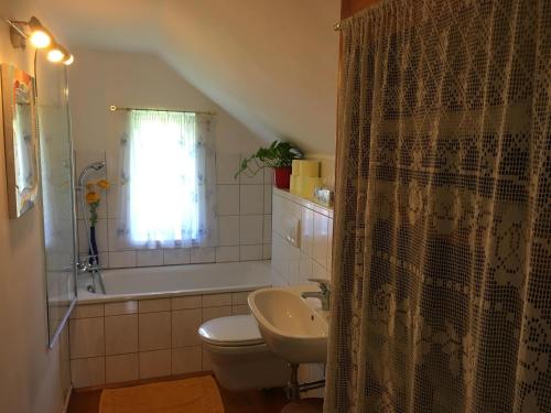 a bathroom with a sink and a toilet and a shower at Haus Schartner Aloisia in Altaussee