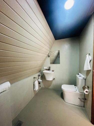 アハンガマにあるRiver Bend Nookのトイレと洗面台付きのバスルーム