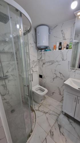 a bathroom with a shower and a toilet and a sink at Kotor Bay View Apartments in Bijela