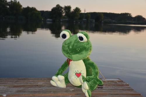 a stuffed frog sitting on a dock near a body of water at Békafütty Vendégház in Ráckeve