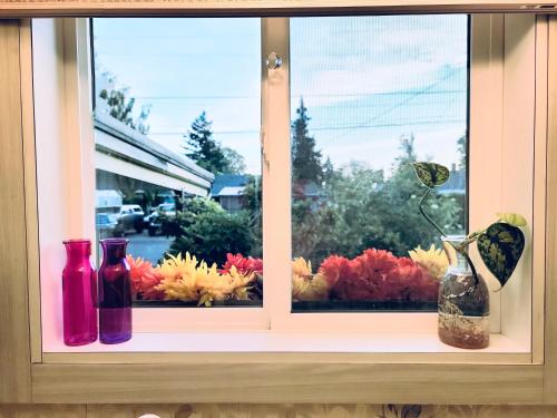 a window with vases on a window sill with flowers at The Mod Pod in Eugene