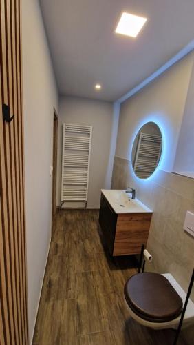 a bathroom with a sink and a mirror at Vila Vivien in Zlín