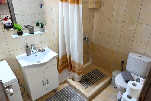 a bathroom with a shower with a sink and a toilet at Penelope's and John's House in Kavála