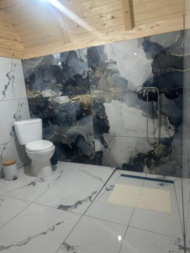 a bathroom with a toilet and a wall covered in paint at Rivera Cabin in Colibiţa