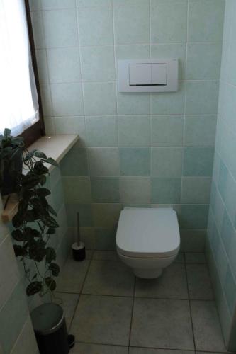 a bathroom with a toilet and a plant in it at Apartment Colà di Lazise - Gardasee 26307 in Colà di Lazise