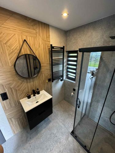 a bathroom with a sink and a mirror and a shower at Jeleśniczówka in Jeleśnia