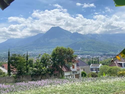a mountain in the distance with houses and purple flowers at Villa Pring Lima in Batu
