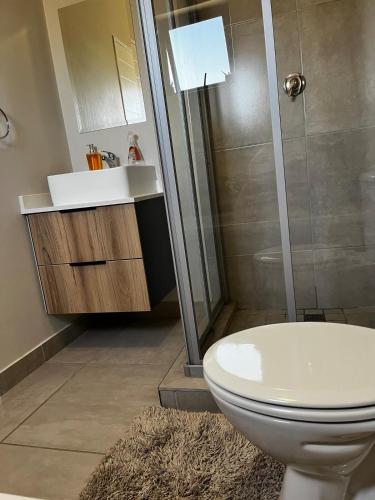 a bathroom with a toilet and a shower and a sink at The Legacy in Vosburg