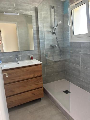 une salle de bains avec douche, lavabo et miroir dans l'établissement Villa rapatel, à Saint Cyprien Plage