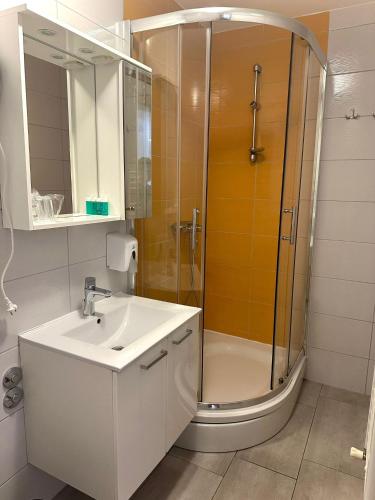 a bathroom with a shower and a sink and a toilet at Guest house Ema in Grabovac