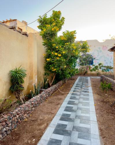 a stone walkway next to a wall with trees at Blue Villa in Lighthouse in Dahab
