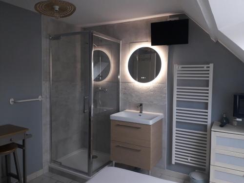 a bathroom with a shower and a sink at Chambres d'hôtes Sébastien in Ruaudin