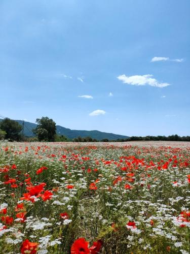 Φυσικό τοπίο κοντά σε αυτή η παραθεριστική κατοικία