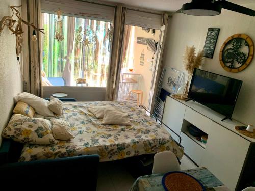 Studio CAP D'AGDE MÉDITERRANÉE