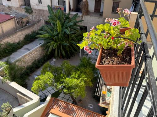an apartment balcony with plants on a balcony at HrD Luxury Rooms in Palermo