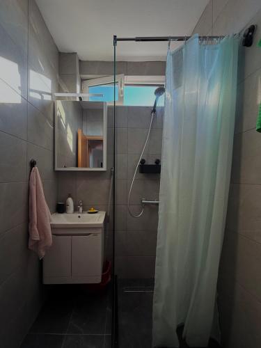 a bathroom with a shower and a sink at Porta Mare Apartment in Bar