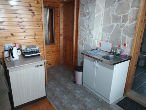 Una cocina con encimera y fregadero en una habitación. en Apartman Lucija, en Žabljak