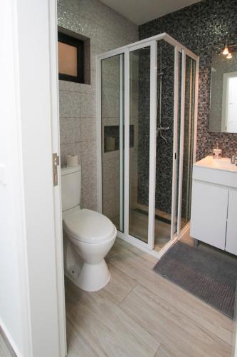 a bathroom with a toilet and a shower and a sink at Cozy 2 BDR Apartment Near Murdeira Beach LCGR in Palha Verde