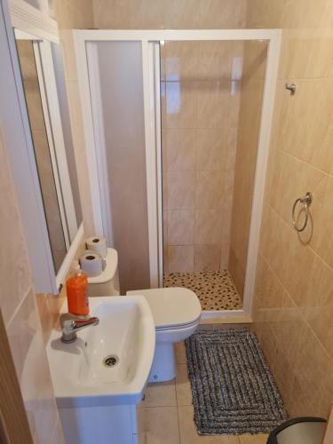 a bathroom with a shower and a toilet and a sink at Little Amber Apartments in Klaipėda