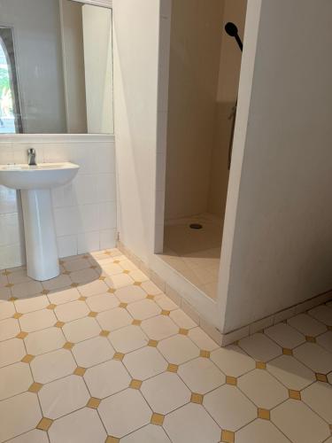 a bathroom with a sink and a shower at Bordeaux Castle natural No2 in Quinsac