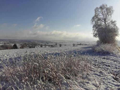 a snow covered field with a tree on a hill at Desnié Farmhouse with Pool in Desnié