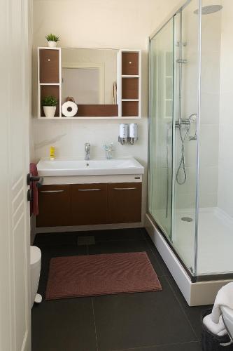 a bathroom with a sink and a glass shower at Vila Green by Plaiul GreenBike in Deva