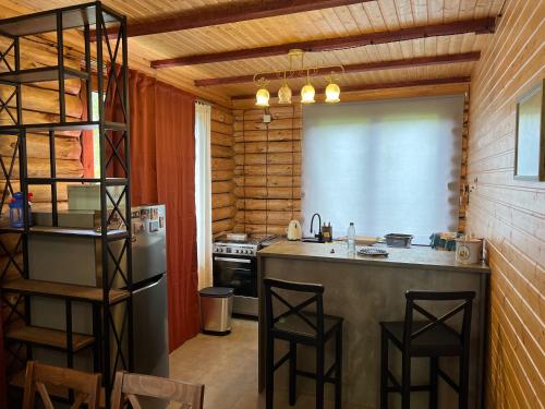 a kitchen with a counter and a stove and a refrigerator at Villa Shoda in Oni