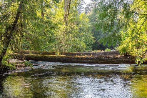 a fallen tree across a river in a forest at Updated Large River Front Home With Hot Tub in McKenzie Bridge