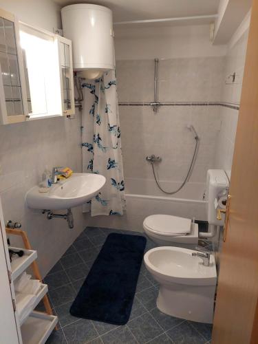 a bathroom with a toilet and a sink and a shower at Apartment Nona in Korčula