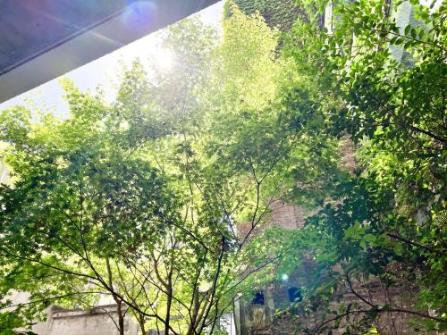 a view of the sun shining through the trees at Teddy Picker in Brussels