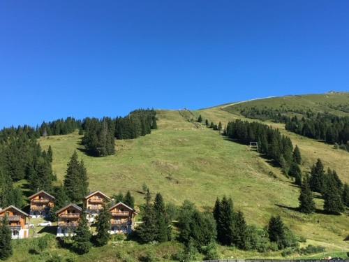 a house on the side of a hill with trees at CHALET GAMSBOCK Koralpe in Elsenbrunn