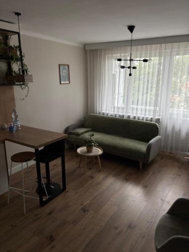 a living room with a green couch and a table at Z widokiem na Jaworzynę in Krynica Zdrój