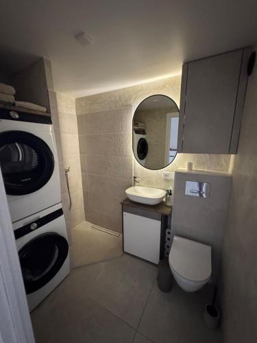 a small bathroom with a toilet and a sink at Locusdo Apartment Nr 32 in Vilnius