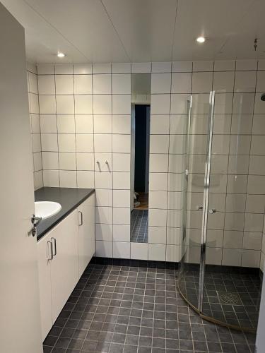 Et badeværelse på Alta sentrum, Granshagen