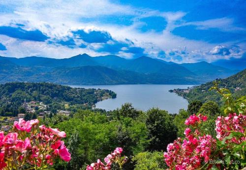 a view of a lake with mountains and pink flowers at B&B Villa Giardini Susanna in Gattico